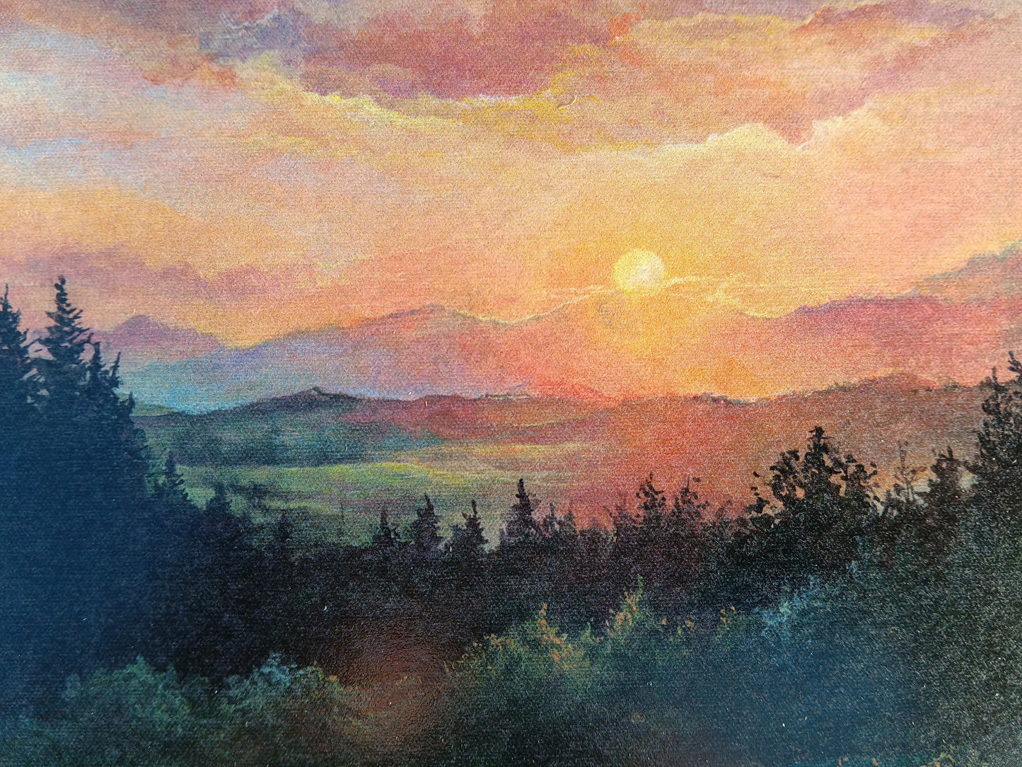 Buena Vista | Notecard