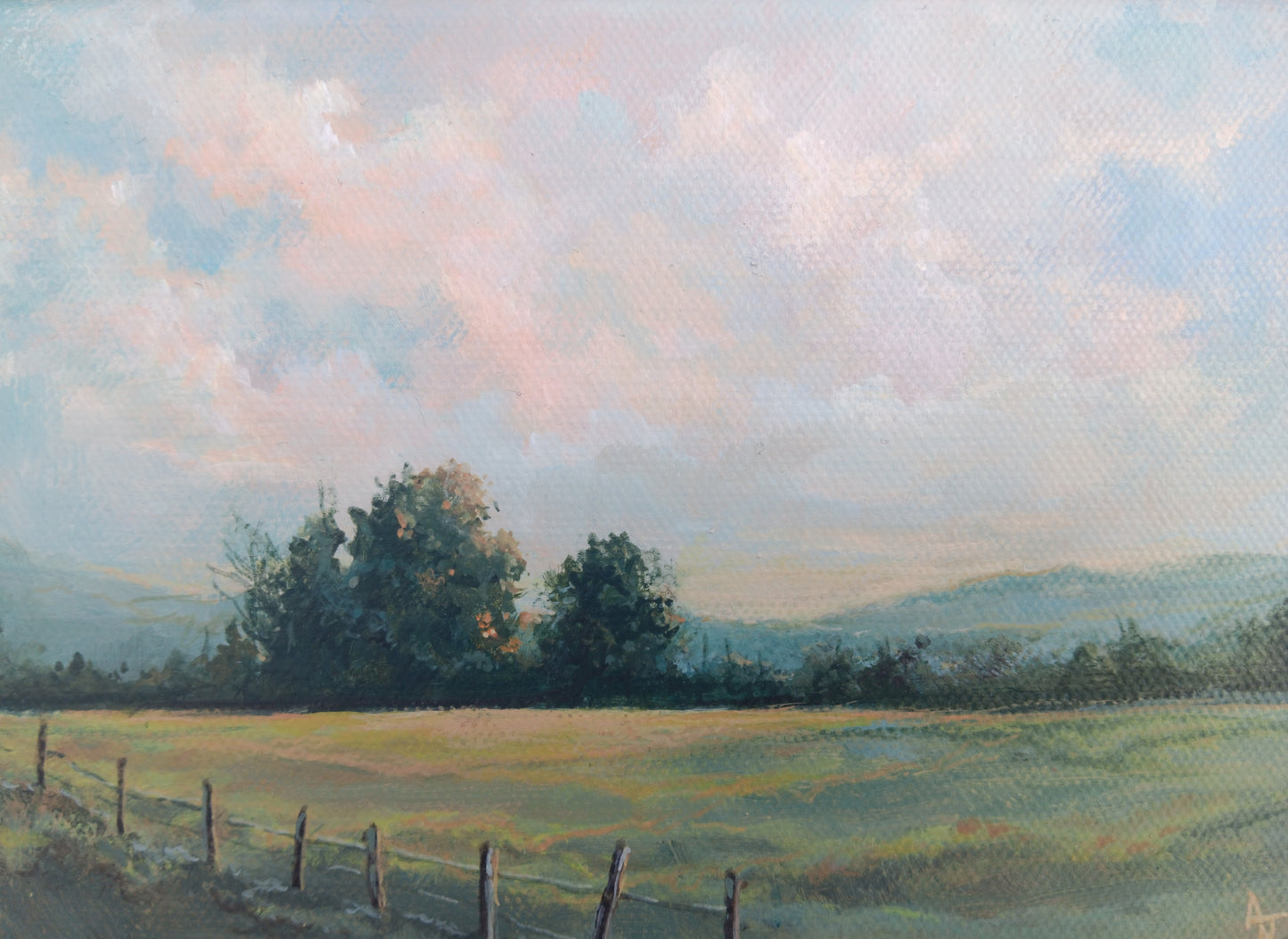 Pastureland | 5 x 7 Framed Original Canvas Painting