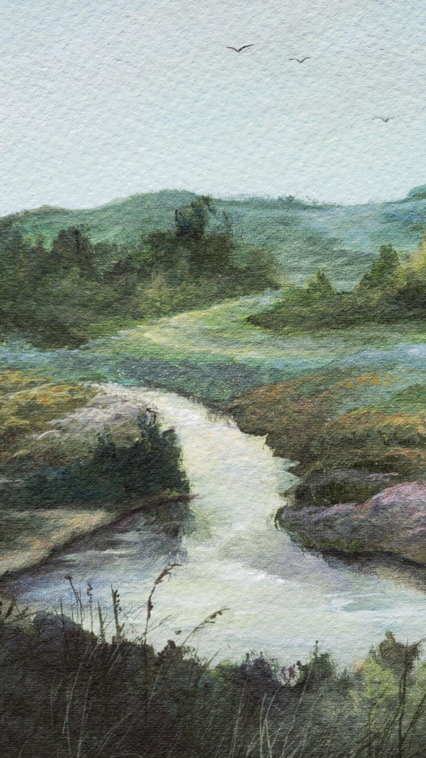 Quiet Waters | 5 x 7 Art Print
