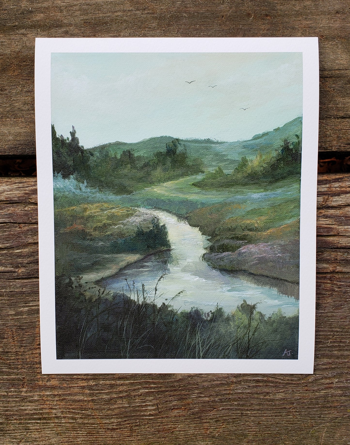 Quiet Waters | 8 x 10 Art Print